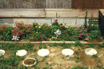 1991Hopewell11